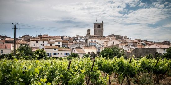 Montblanc, pépite du vignoble