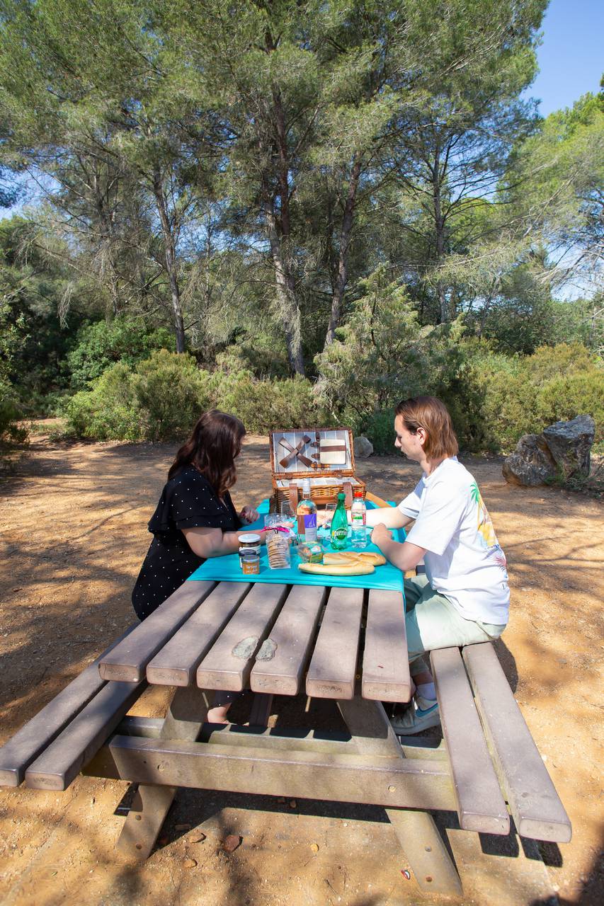 Plan] Table de pique-nique par Peiot sur L'Air du Bois