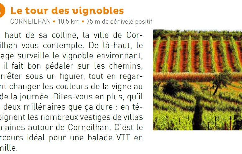 CIRCUIT LE TOUR DES VIGNOBLES- ESPACE VTT-FFC BÉZIERS MÉDTERRANÉE