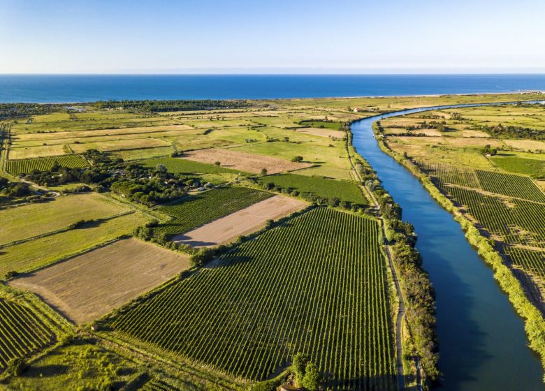 SCAV DE SERIGNAN – LES VIGNERONS DE SERIGNAN