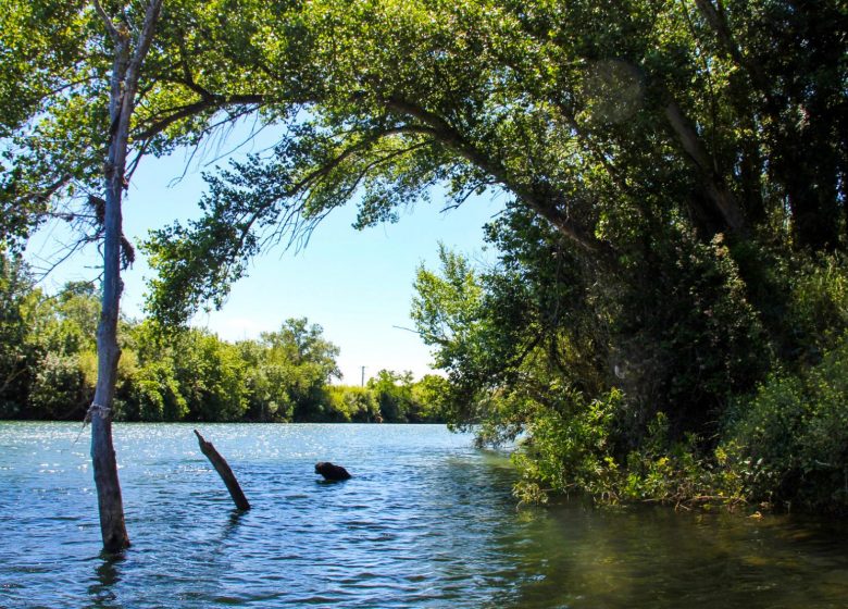 BALADE COMMENTÉE AU FIL DE L’EAU EN CANOË