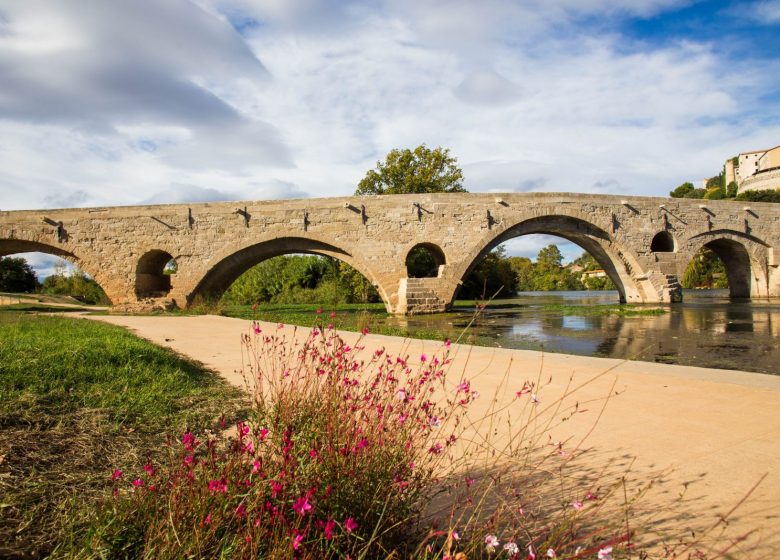 PONT VIEUX