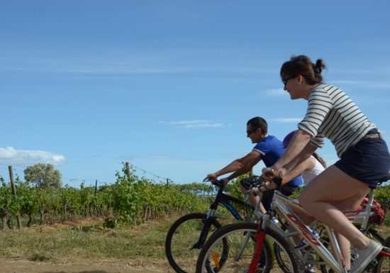 CIRCUIT LE TOUR DES VIGNOBLES- ESPACE VTT-FFC BÉZIERS MÉDTERRANÉE