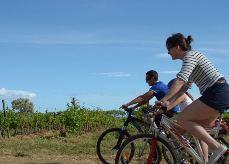 CIRCUIT LE TOUR DES VIGNOBLES- ESPACE VTT-FFC BÉZIERS MÉDTERRANÉE