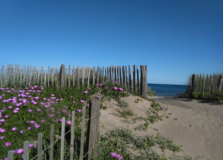 EN 1ERE LIGNE  ET ACCÈS DIRECT A LA PLAGE AU « FLOTS BLEUS » A VALRAS-PLAGE