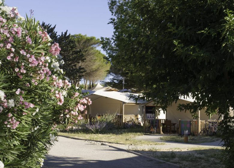 CAMPING CÔTE DU SOLEIL