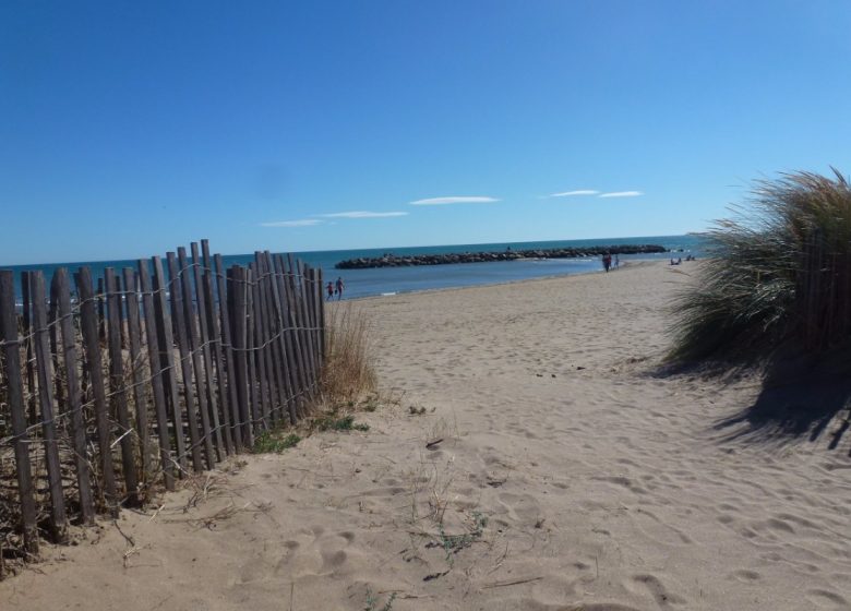 EN 1ERE LIGNE  ET ACCÈS DIRECT A LA PLAGE AU « FLOTS BLEUS » A VALRAS-PLAGE