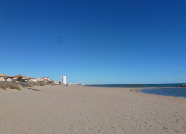 EN 1ERE LIGNE  ET ACCÈS DIRECT A LA PLAGE AU « FLOTS BLEUS » A VALRAS-PLAGE