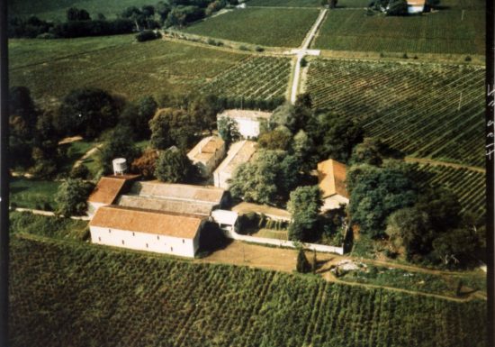 GÎTE EN LANGUEDOC, PROCHE DE LA MER, ANIMAUX ADMIS.