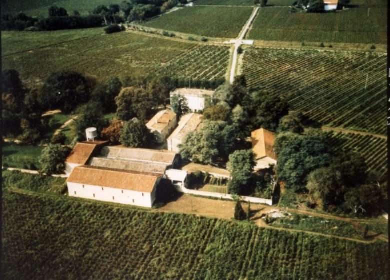 GÎTE EN LANGUEDOC, PROCHE DE LA MER, ANIMAUX ADMIS.