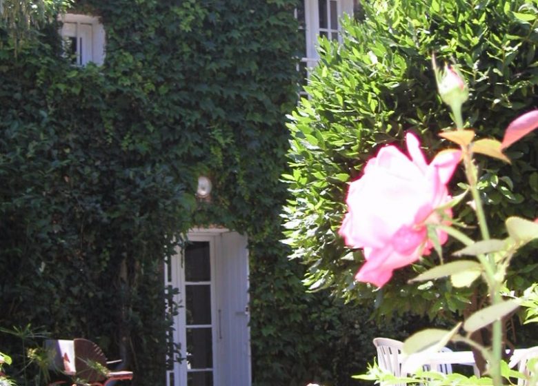 GÎTE EN LANGUEDOC, PROCHE DE LA MER, ANIMAUX ADMIS.