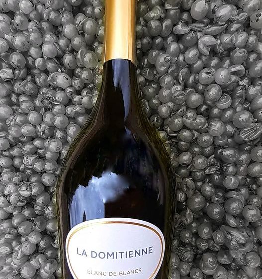 DOMAINE LA DOMITIENNE