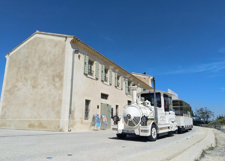 BÉZIERS EN PETIT TRAIN – CIRCUIT MONUMENTS ET CENTRE HISTORIQUE