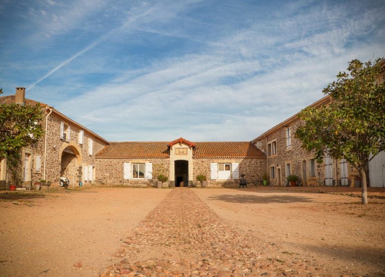 DOMAINE SAINT JEAN DE LA CAVALERIE