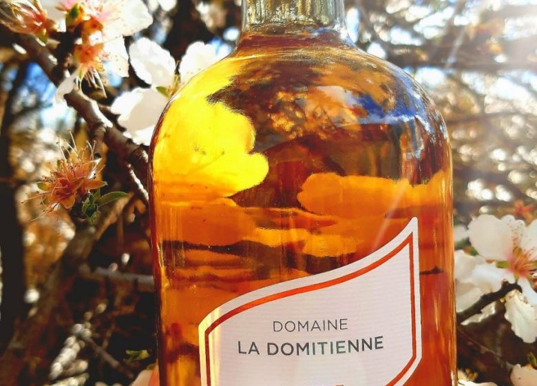 DOMAINE LA DOMITIENNE