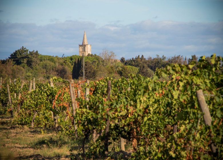 RANDONNEE DE LA PASEJADE DEL CRES